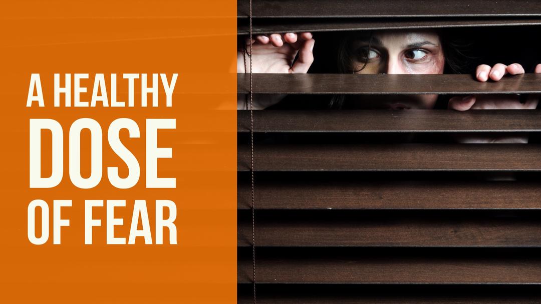 Fear — there’s an entire holiday, film industry, and book genre dedicated to it. It’s something all have experienced, and some even seek it out. But what is fear and how does it affect our bodies?