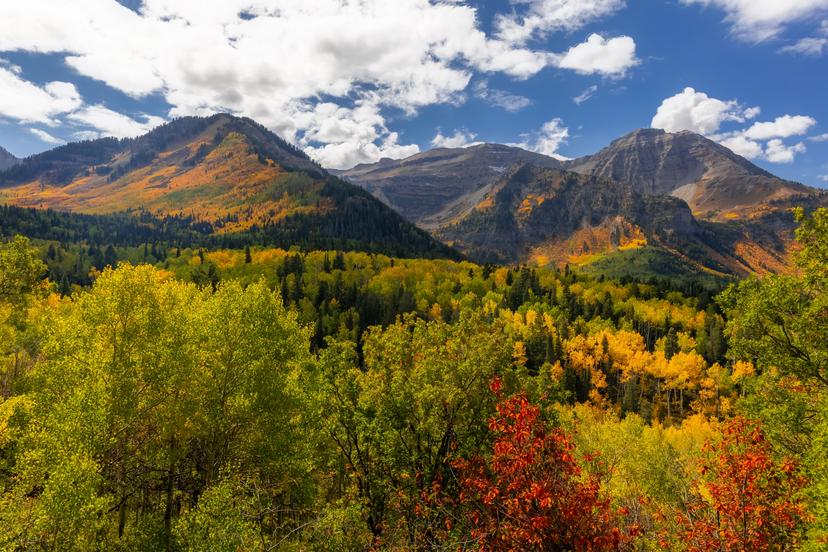 View of Mt Timp 